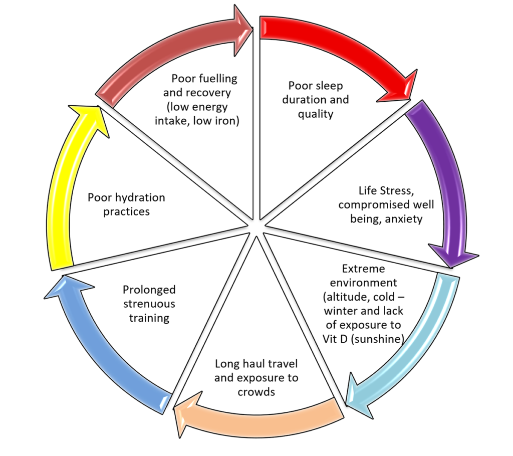Performance Nutrition diagram