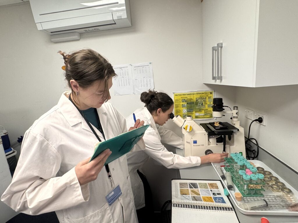 Sarah Tetzlaff working at a lab